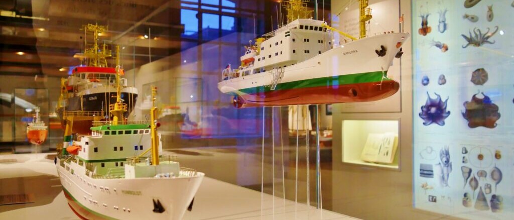 Schiffsmodelle in einer Museumsvitrine, weiße Forschungsschiffe mit grünem Streifen vor Tafeln zu Meereslebewesen