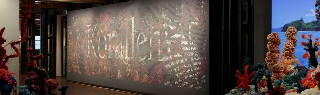 Museumsausstellung mit gro&szlig;er beleuchteter Wand mit dem Schriftzug Korallen und zahlreichen bunten, geh&auml;kelten Korallen-Skulpturen in verschiedenen Formen auf dunklem Holzboden.