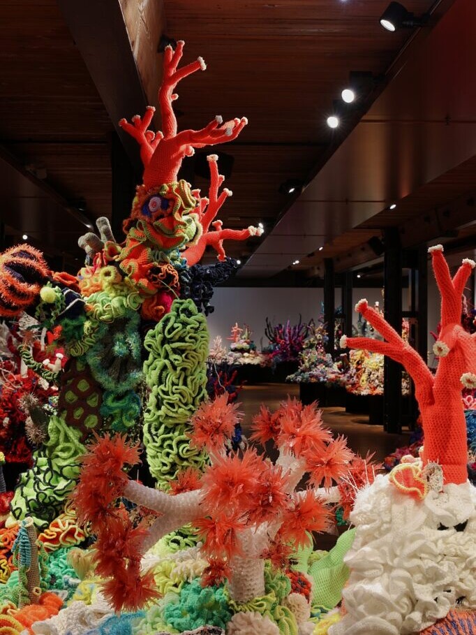 Bunte, gro&szlig;fl&auml;chige H&auml;kelinstallation in einem Galerie-Raum: leuchtend rote, verzweigte Korallen, orange Anemonen, gr&uuml;ne labyrinthartige und kn&auml;ulige Strukturen.
