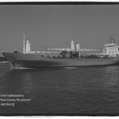 Frachtschiff mit zwei Ladekränen fährt vor Ufer mit Häusern, unten links Logo Internationales Maritimes Museum Hamburg.