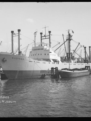 Frachtschiff ALCYONE am Kai, kleines Beiboot daneben und mehrere Ladekräne im Hintergrund