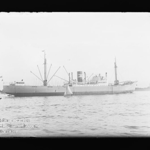 Großes Frachtschiff mit Ladekränen und Schornstein auf ruhiger See, kleines Segelboot im Vordergrund, schwarzweißes Foto mit Museumswasserzeichen.