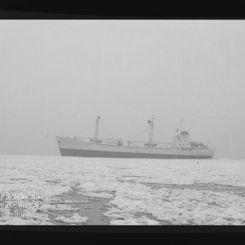 Frachtschiff auf ruhiger, teilweise zugefrorener See im Nebel, Museumswasserzeichen Internationales Maritimes Museum Hamburg