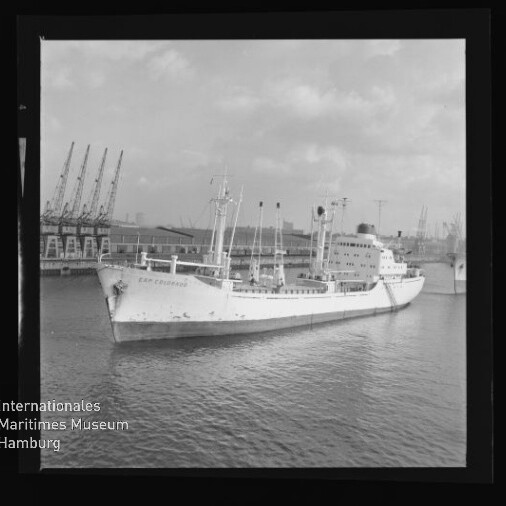 Weißes Frachtschiff mit mehreren Masten und Ladekränen im Hintergrund liegt im Hafen bei ruhigem Wasser und bewölktem Himmel.