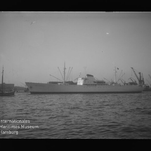 Großes weißes Schiff in Seitenansicht im Hafen vor Kranen, Wasser im Vordergrund und Schriftzug Internationales Maritimes Museum Hamburg
