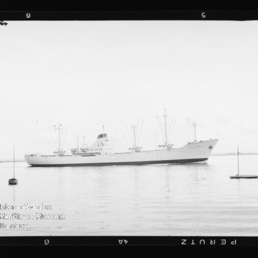Großes Frachtschiff fährt ruhig auf dem Wasser, zwei kleine Boote im Vordergrund und Baumzweige oben links.