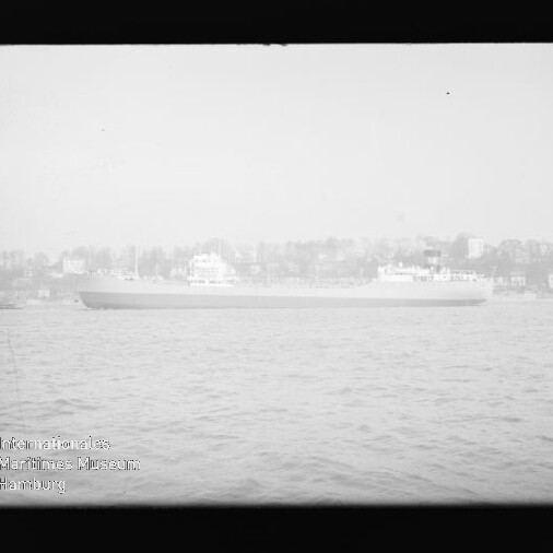 Langgestrecktes Frachtschiff auf ruhiger See vor unscharfer Uferbebauung.