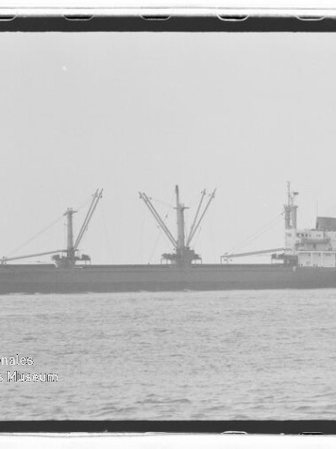 Frachtschiff mit drei Ladekränen auf ruhiger See, schwarzweißfoto mit Wasserzeichen Internationales Maritimes Museum Hamburg.