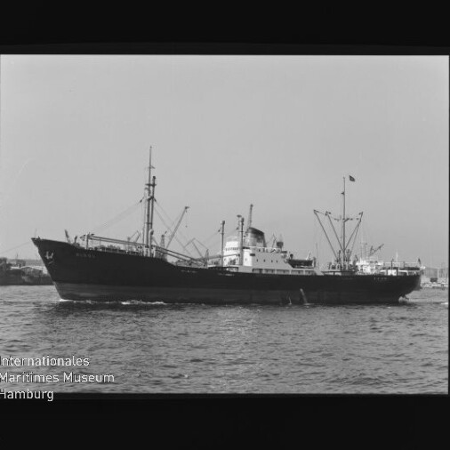 Frachtschiff mit Ladekränen fährt im Hafen; Maritimes Museum Hamburg-Logo unten links.