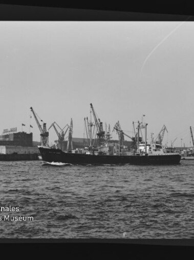 Schwarzweiß-Foto eines Frachtschiffs vor einem Hafen mit zahlreichen Kränen, mit Wasserzeichen Internationales Maritimes Museum Hamburg.