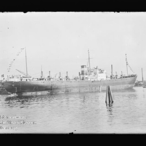 Großes Frachtschiff mit Festtagsflaggen im Hafen, ruhiges Wasser und Dalben im Vordergrund, Wasserzeichen Internationales Maritimes Museum Hamburg.