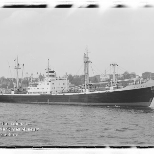 Frachtschiff Salvia auf ruhiger See vor Hafenstadt, Seitenansicht mit Aufbauten und Ladegeschirr.