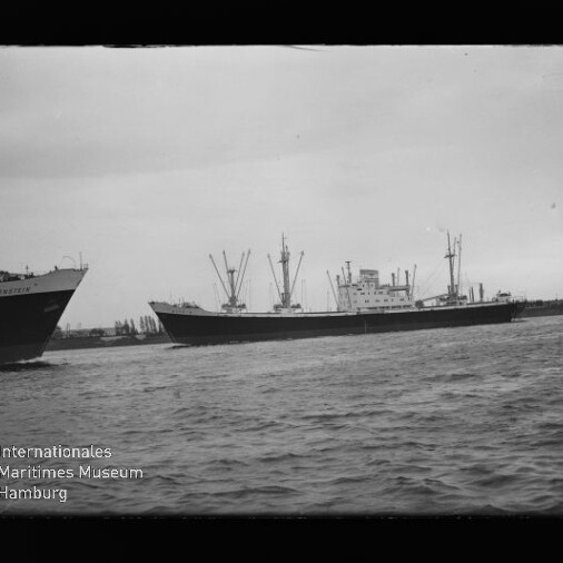 Frachtschiff mit mehreren Ladekränen und Aufbauten auf ruhiger See, links vorn der Bug eines zweiten Schiffes