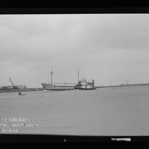 Frachtschiff mit Schlepper auf ruhigem Hafenwasser, links Ufer mit Kran und Bäumen; Schriftzug Internationales Maritimes Museum Hamburg sichtbar.