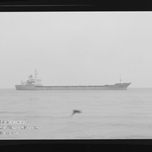 Schwarzweiß-Foto eines langen Frachtschiffs in Seitenansicht auf ruhiger See, am Horizont platziert, mit einem unscharfen Vogel im Vordergrund sowie sichtbarem Filmrand und Wasserzeichen des Internationalen Maritimen Museums Hamburg.