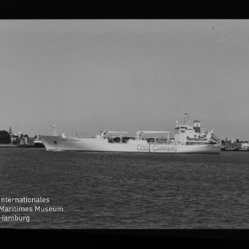 Schwarzweiß-Aufnahme eines großen Frachtschiffs mit der Aufschrift „COOL CARRIERS“, seitlich im Hafen vor einer Uferlinie mit Gebäuden und Bäumen und ruhiger Wasserfläche.