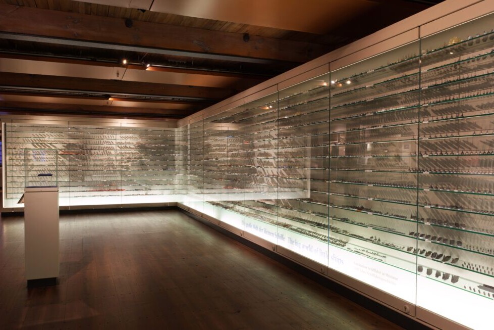 Großer Museumsausstellungsraum mit sichtbarer Holzbalkendecke und Parkettboden, in dem eine lange umlaufende Glasvitrine an zwei Wänden hunderte kleine Modelle auf zahlreichen Glasregalen zeigt und ein einzelner beleuchteter Sockel in der Raummitte steht.